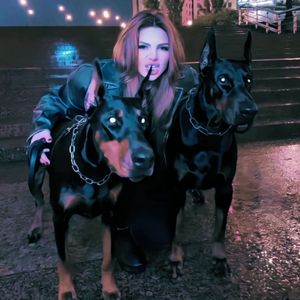 蒙古姑娘二免费播放
